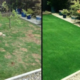 (1+1 Gratis) Pflegeleichte Bio-Rasensamenmatte