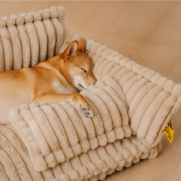 Snoozy Dream – Das orthopädische Hundesofa für gesunden Schlaf & maximalen Komfort