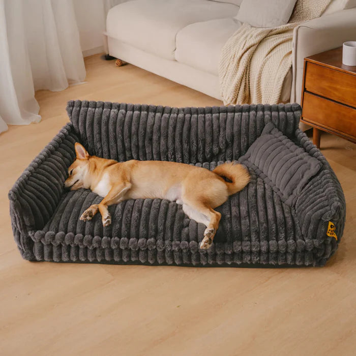 Snoozy Dream – Das orthopädische Hundesofa für gesunden Schlaf & maximalen Komfort