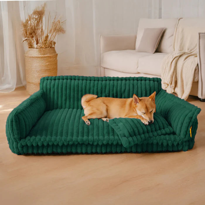 Snoozy Dream – Das orthopädische Hundesofa für gesunden Schlaf & maximalen Komfort