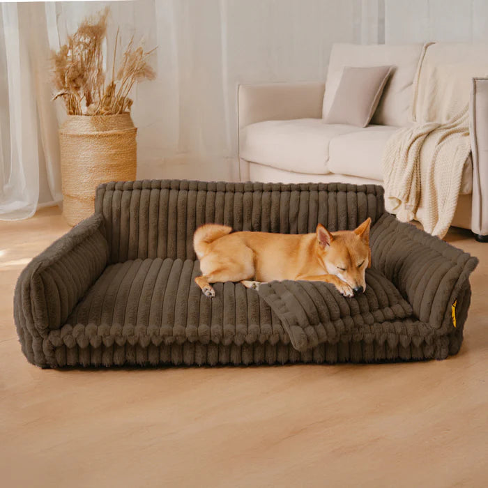 Snoozy Dream – Das orthopädische Hundesofa für gesunden Schlaf & maximalen Komfort
