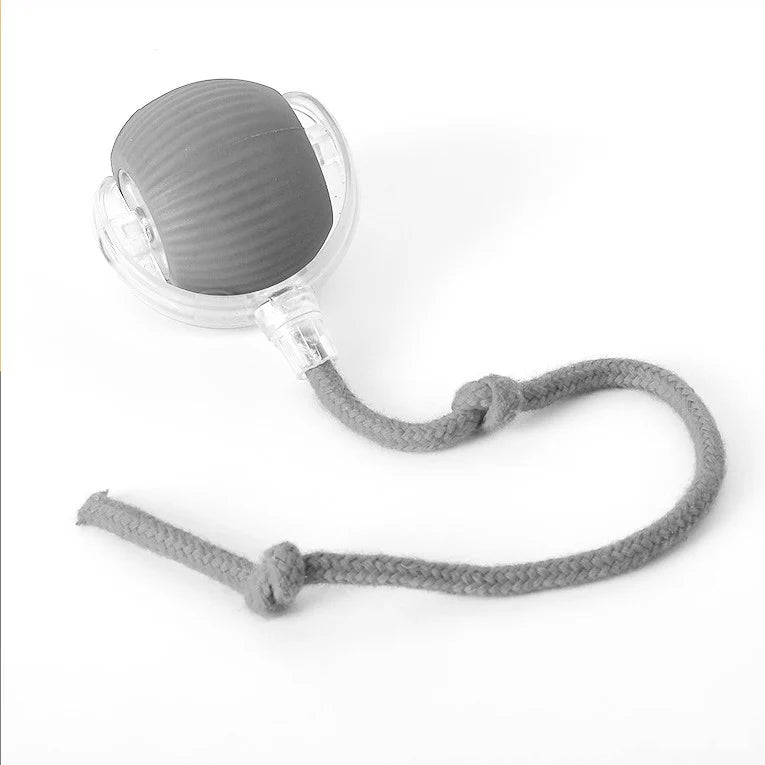 Spielball – Der interaktive Schwanzball, der Hunde stundenlang fesselt