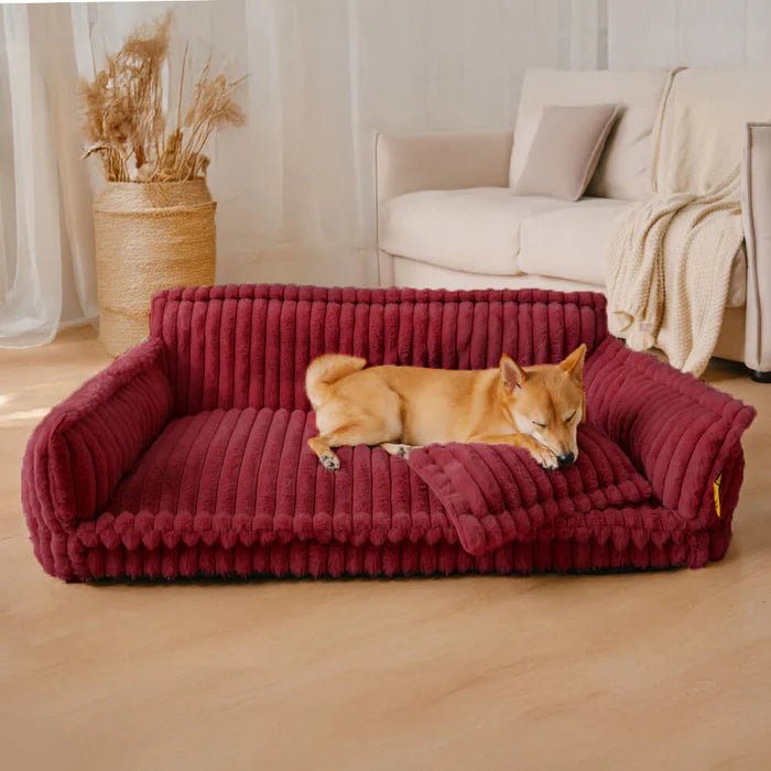 Snoozy Dream – Das orthopädische Hundesofa für gesunden Schlaf & maximalen Komfort