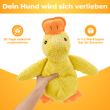 Beruhigende Quak-Ente für Hunde – Stressabbau, Spielspaß & mentale Entlastung