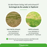 GrünKraft Elite – Für einen kräftigen Traumrasen im Frühling