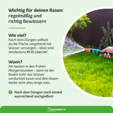 GrünKraft Elite – Für einen kräftigen Traumrasen im Frühling