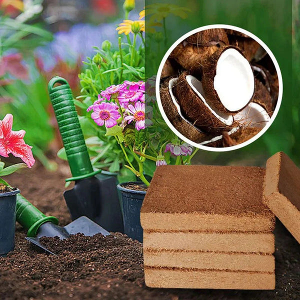 1+2 GRATIS | Premium Bio-Kokoserde Ziegel – Natürliches Pflanzenwachstum fördern