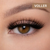 Velyra Wimpern – Magnetisch & Wiederverwendbar| 1+1 Gratis