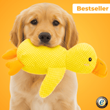 Beruhigende Quak-Ente für Hunde – Stressabbau, Spielspaß & mentale Entlastung
