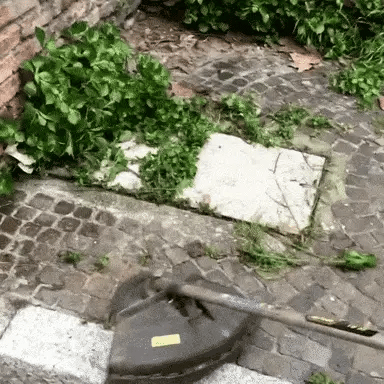ProfiTrimmer™ - Der unverwüstliche Rasentrimmer