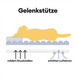 Snoozy Dream – Das orthopädische Hundesofa für gesunden Schlaf & maximalen Komfort