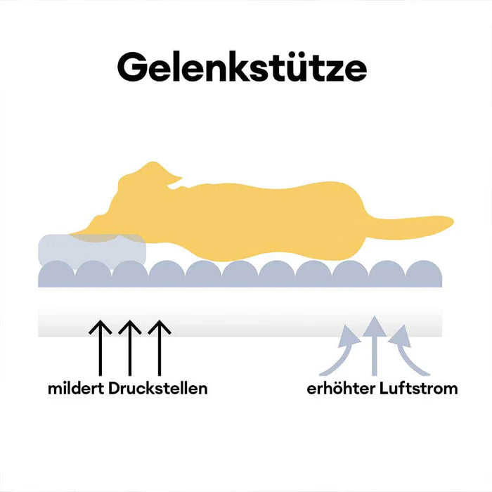 Snoozy Dream – Das orthopädische Hundesofa für gesunden Schlaf & maximalen Komfort
