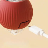 Spielball – Der interaktive Schwanzball, der Hunde stundenlang fesselt