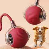 Spielball – Der interaktive Schwanzball, der Hunde stundenlang fesselt