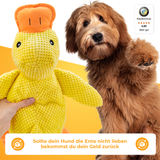 Beruhigende Quak-Ente für Hunde – Stressabbau, Spielspaß & mentale Entlastung